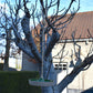 Vogelvoederbak